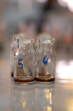 Numbered glass bottles in health laboratory